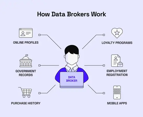 Data broker network visualization showing email data flow